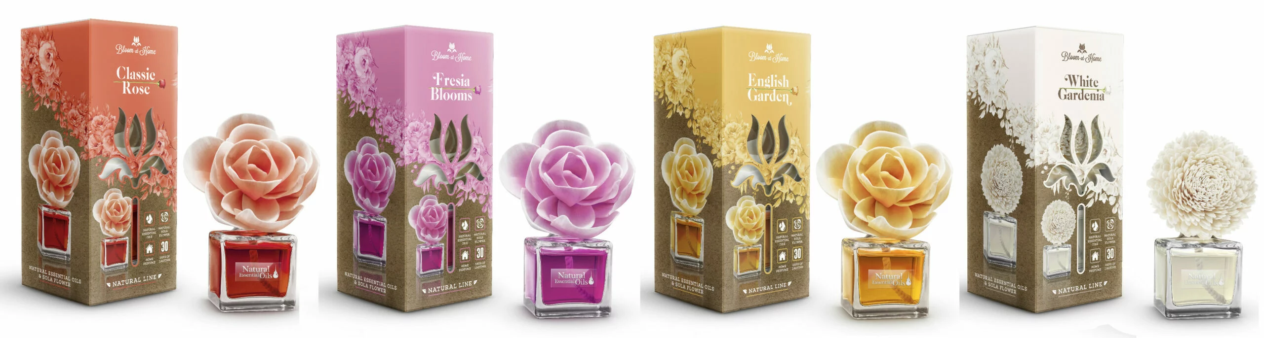 BLOOM AT HOME