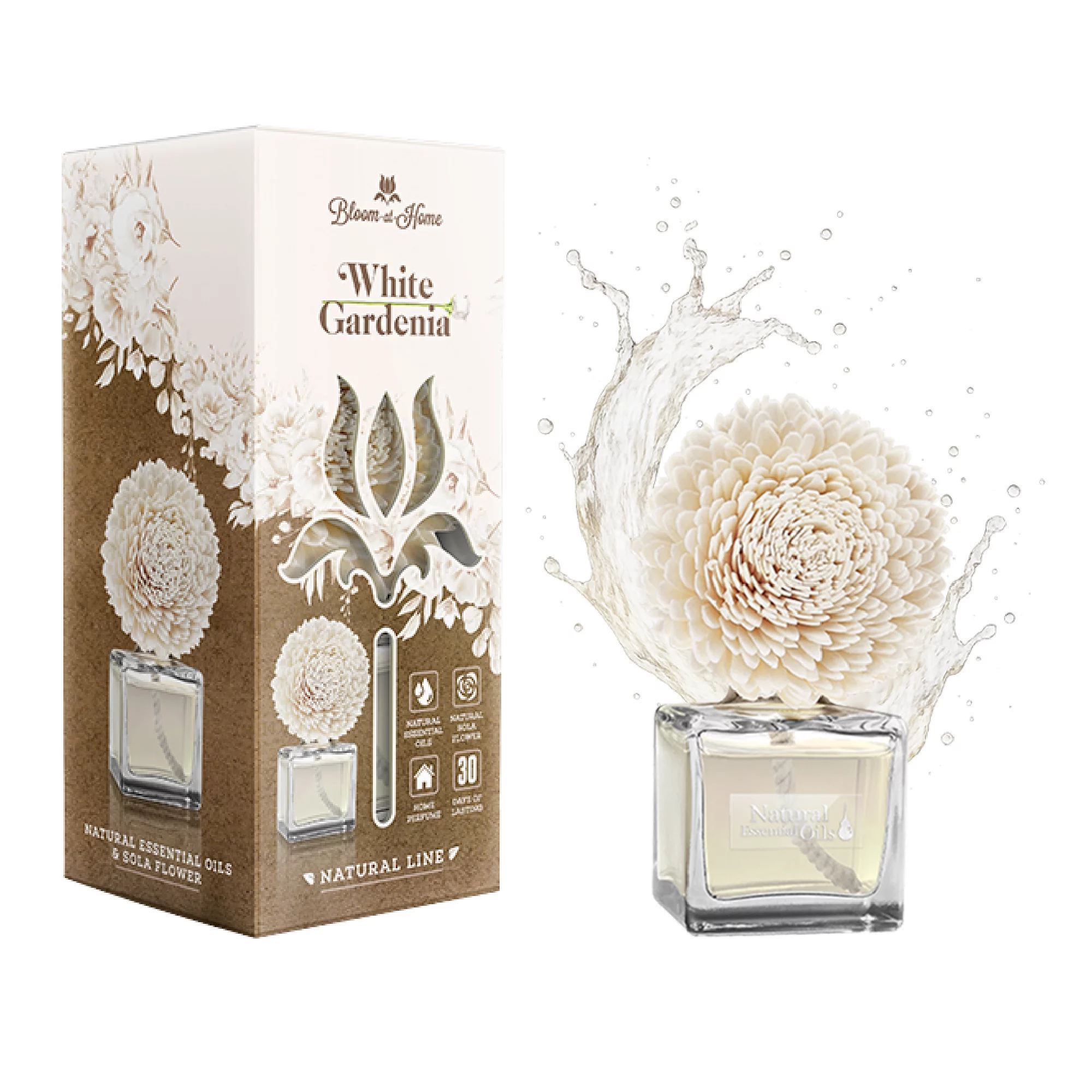 BLOOM AT HOME