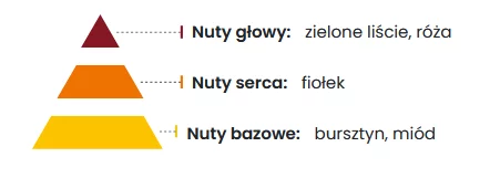 Fresh Bottle Odświeżacz Samochodowy 5ml