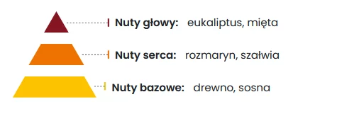 Fresh Bottle Odświeżacz Samochodowy 5ml